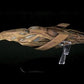 #06 Vulcan Cruiser (Solkar-class) Discovery Ships Model Diecast Ship SSDUK006 (Eaglemoss / Star Trek)